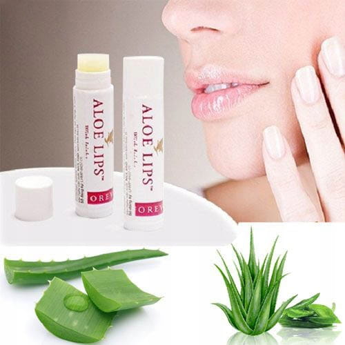 Forever Aloe Lips ochronna pomadka do ust ALOESOWA