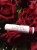 Forever Aloe Lips ochronna pomadka do ust ALOESOWA