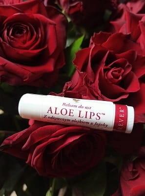 Forever Aloe Lips ochronna pomadka do ust ALOESOWA