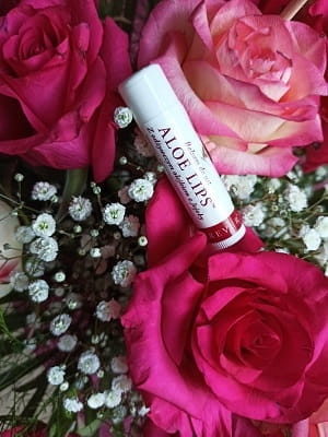 Forever Aloe Lips ochronna pomadka do ust ALOESOWA