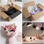 Bibuła ozdobna do pakowania gładka róż nude 50x70 cm 36 sztuk